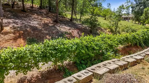 1175 Dallimore Rd, Colfax, CA 95713 photo 22