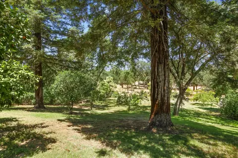 Exterior - 1717 Edgebrook Dr, Modesto, CA 95354 photo 5 of 28