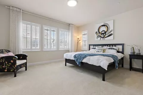 1010 Forbes Ln, Davis, CA 95616 photo 18