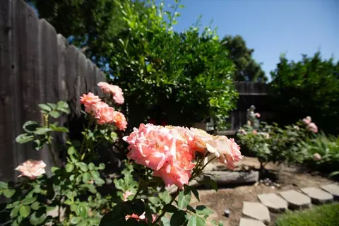 1109 Valeriewood Way, Modesto, CA 95355 photo 55
