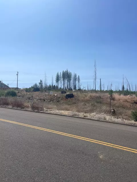 10141 Grizzly Flat Rd, Grizzly Flats, CA 95636