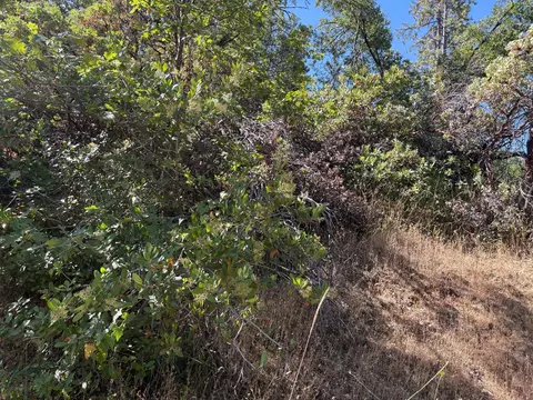 20790 Indian Dr, Colfax, CA 95713 photo 4