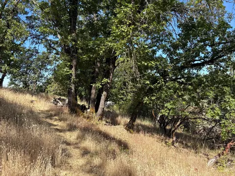 20790 Indian Dr, Colfax, CA 95713 photo 11