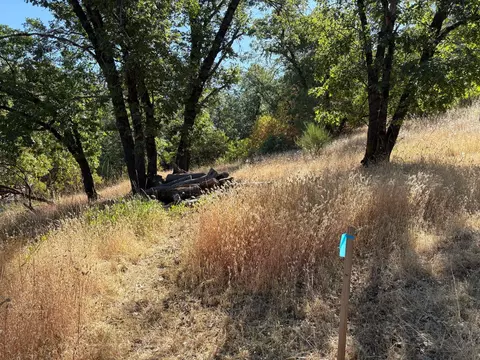 20790 Indian Dr, Colfax, CA 95713 photo 5