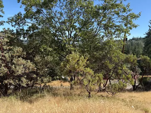 20790 Indian Dr, Colfax, CA 95713 photo 8
