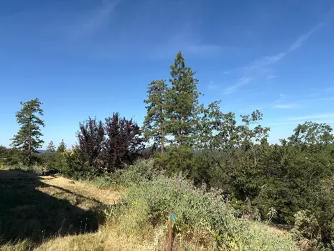 20790 Indian Dr, Colfax, CA 95713 photo 16