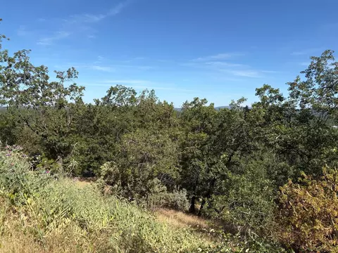 20790 Indian Dr, Colfax, CA 95713 photo 14