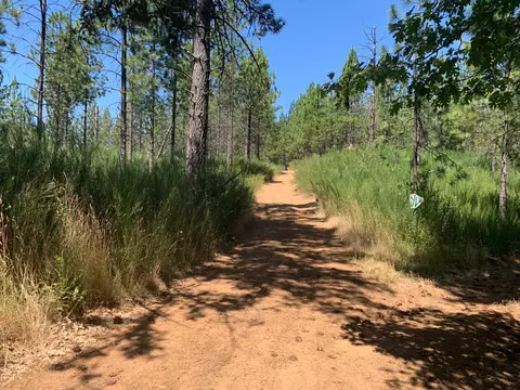 11880 Lost Ranch Way, Nevada City, CA 95959