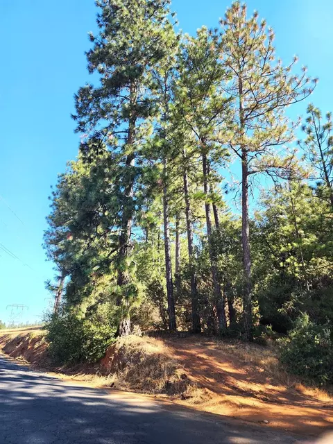 10550 Tabeaud Rd, Pine Grove, CA 95665 photo 5