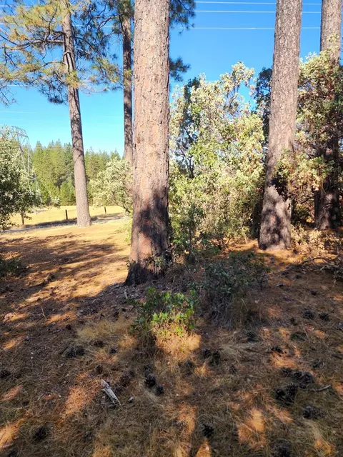 10550 Tabeaud Rd, Pine Grove, CA 95665 photo 3