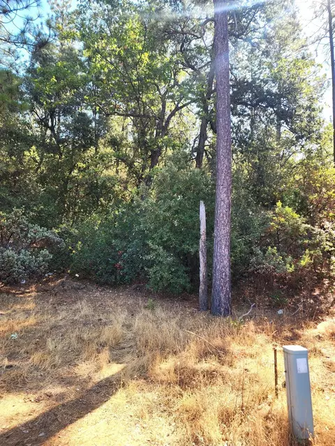 10550 Tabeaud Rd, Pine Grove, CA 95665 photo 2