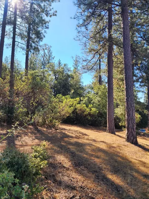 10550 Tabeaud Rd, Pine Grove, CA 95665 photo 4