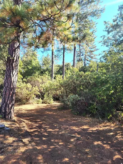 10550 Tabeaud Rd, Pine Grove, CA 95665