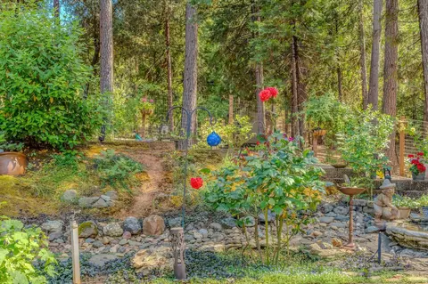 Exterior - 18912 Ridge Rd, Pine Grove, CA 95665 photo 7 of 25