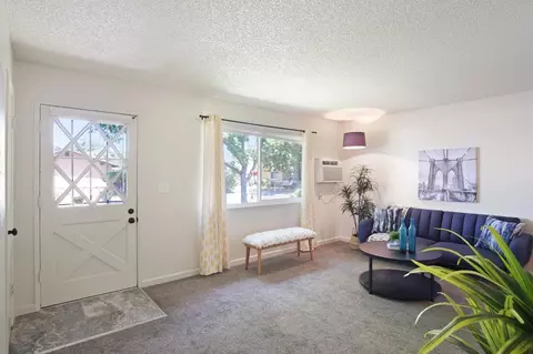 1924 Celeste Ct, Modesto, CA 95355 photo 14