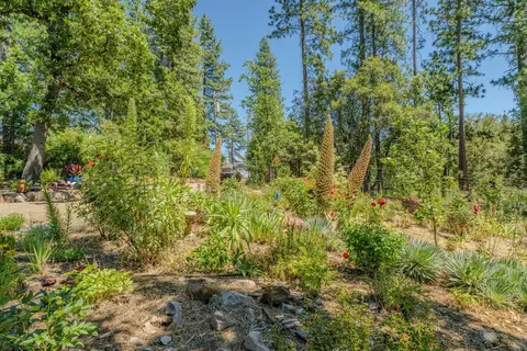 Exterior - 20445 Wild Pine Dr, Pine Grove, CA 95665 photo 29 of 35