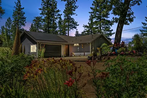 Exterior - 20445 Wild Pine Dr, Pine Grove, CA 95665 photo 1 of 35