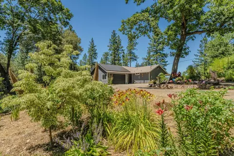 Exterior - 20445 Wild Pine Dr, Pine Grove, CA 95665 photo 22 of 35