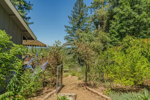 Exterior - 20445 Wild Pine Dr, Pine Grove, CA 95665 photo 2 of 35