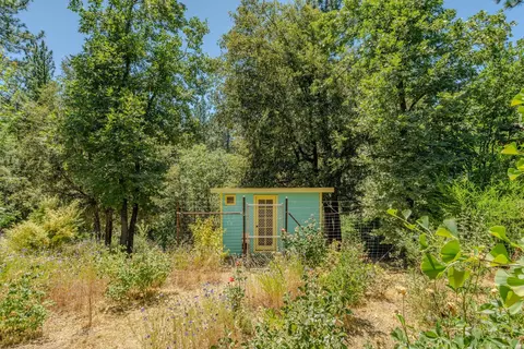 Exterior - 20445 Wild Pine Dr, Pine Grove, CA 95665 photo 14 of 35
