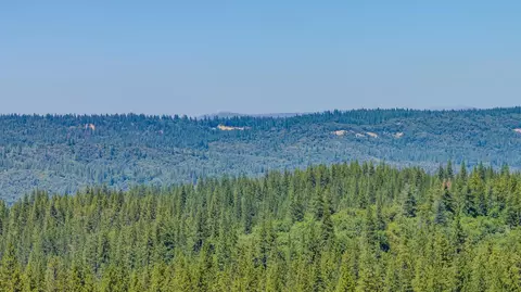 View/Area - 20445 Wild Pine Dr, Pine Grove, CA 95665 photo 3 of 15