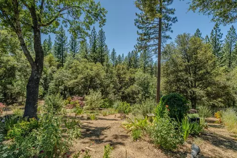 Exterior - 20445 Wild Pine Dr, Pine Grove, CA 95665 photo 28 of 35