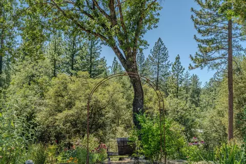 Exterior - 20445 Wild Pine Dr, Pine Grove, CA 95665 photo 27 of 35
