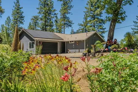 Other - 20445 Wild Pine Dr, Pine Grove, CA 95665 photo 6 of 8