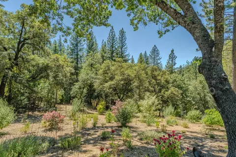 Exterior - 20445 Wild Pine Dr, Pine Grove, CA 95665 photo 18 of 35