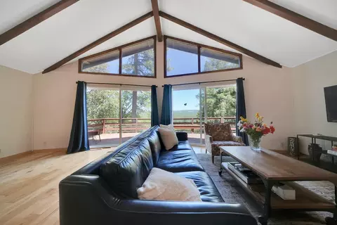 Living - 20445 Wild Pine Dr, Pine Grove, CA 95665 photo 1 of 11