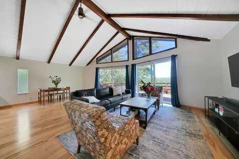 Living - 20445 Wild Pine Dr, Pine Grove, CA 95665 photo 3 of 11