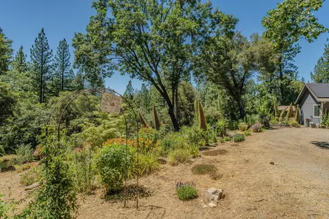 Exterior - 20445 Wild Pine Dr, Pine Grove, CA 95665 photo 21 of 35