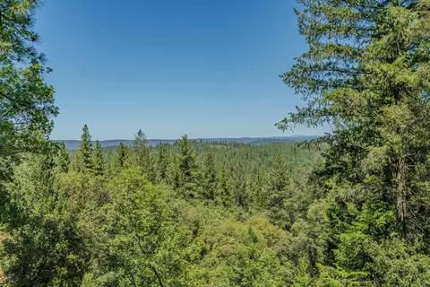 View/Area - 20445 Wild Pine Dr, Pine Grove, CA 95665 photo 2 of 15