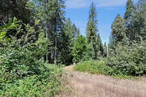 17079 Balboa Trl, Challenge, CA 95925 photo 7