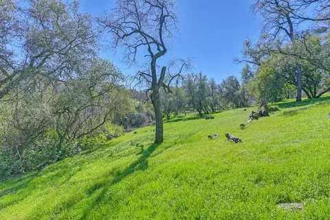 5001 Nance Dr, Pilot Hill, CA 95664 photo 42