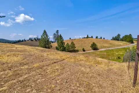 7279 Mountain Rnch, Mountain Ranch, CA 95246 photo 44