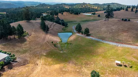 7279 Mountain Rnch, Mountain Ranch, CA 95246 photo 64