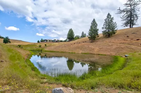 7279 Mountain Rnch, Mountain Ranch, CA 95246 photo 3