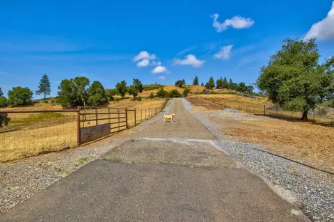 7279 Mountain Rnch, Mountain Ranch, CA 95246 photo 4