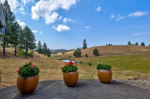 7279 Mountain Rnch, Mountain Ranch, CA 95246 photo 27
