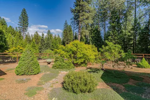 25521 Wildflower Dr, Volcano, CA 95689 photo 46