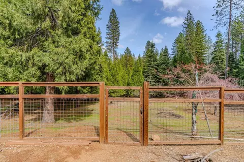 25521 Wildflower Dr, Volcano, CA 95689 photo 49