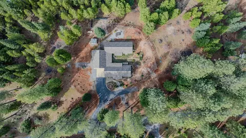 25521 Wildflower Dr, Volcano, CA 95689 photo 65