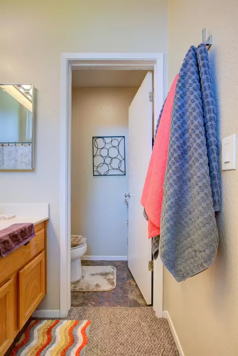 Bath - 4925 Wild Rose Dr, Salida, CA 95368 photo 4 of 4