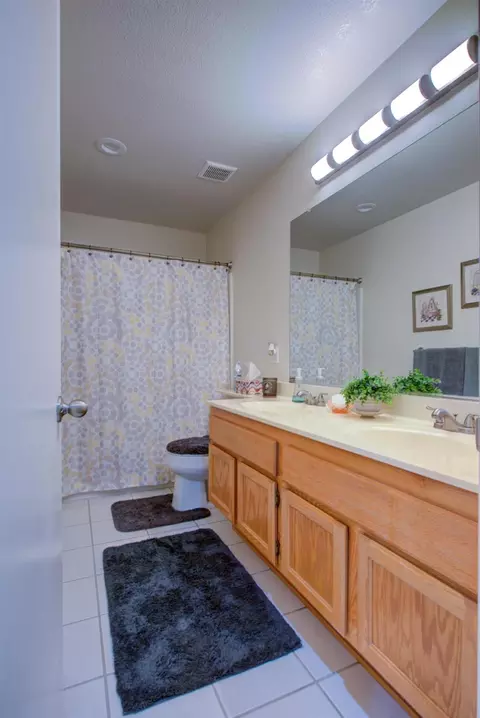Bath - 4925 Wild Rose Dr, Salida, CA 95368 photo 2 of 4