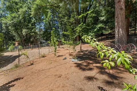 34455 E Towle, Alta, CA 95701 photo 35