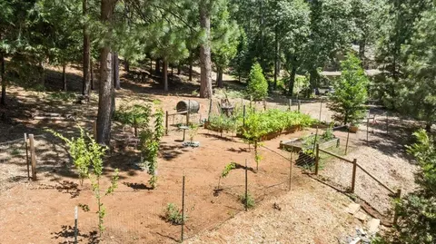 34455 E Towle, Alta, CA 95701 photo 39