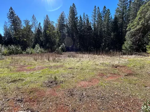 35 Bamford, Forbestown, CA 95941