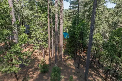 1908 Seminole Way, Arnold, CA 95223 photo 45