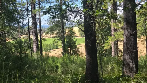 12042 Bitney Springs Rd, Nevada City, CA 95959